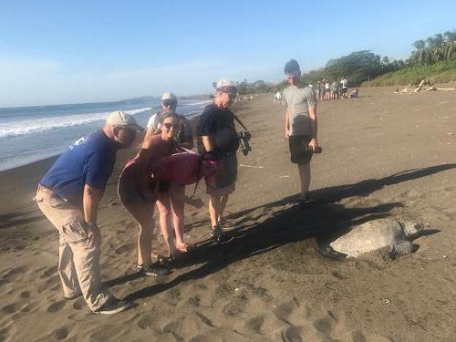 Professor Frank Paladino and students study sea turtle on the beach in Costa Rica.